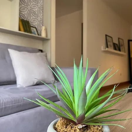 Hermoso Apartamento Con Piscina Miraflores- Canvas Lima Extérieur photo